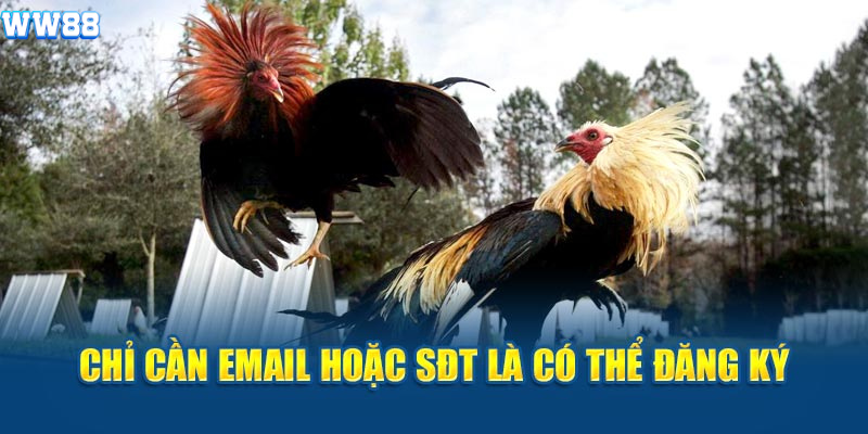 Chỉ cần email hoặc sđt là có thể đăng ký Chỉ cần email hoặc sđt là có thể đăng ký