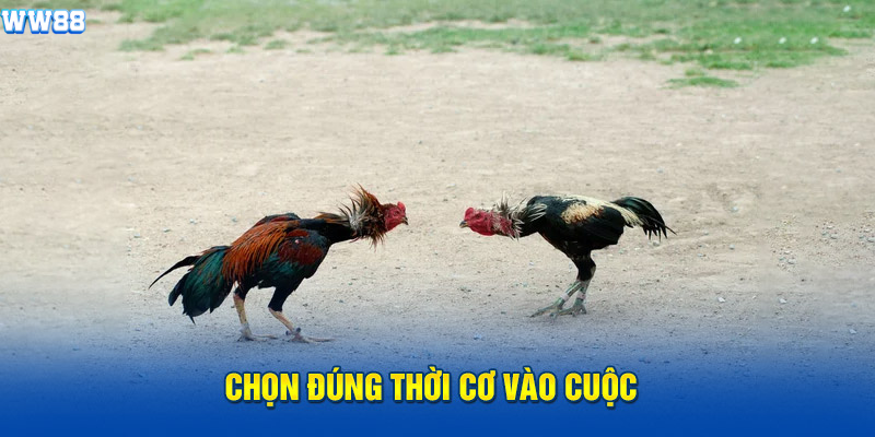 Chọn đúng thời cơ vào cuộc Chọn đúng thời cơ vào cuộc