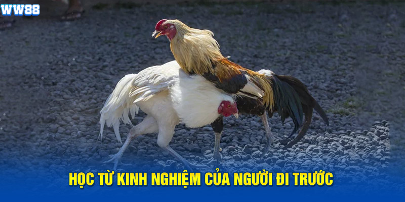 Tiếp thu chọn lọc kinh nghiệm của người đi trước Tiếp thu chọn lọc kinh nghiệm của người đi trước