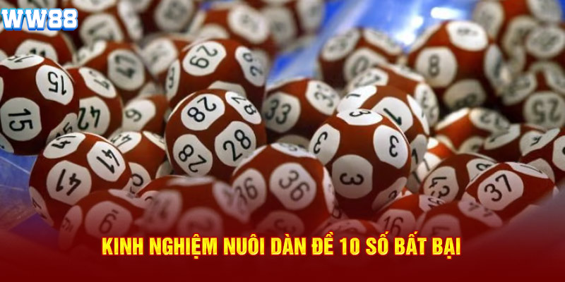 Kinh nghiệm nuôi dàn đề 10 số hiệu quả cho newbie Kinh nghiệm nuôi dàn đề 10 số hiệu quả cho newbie