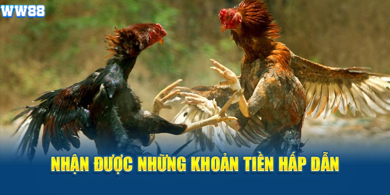 Tỷ lệ kèo hấp dẫn giúp thu về những khoản tiền lớn Tỷ lệ kèo hấp dẫn giúp thu về những khoản tiền lớn
