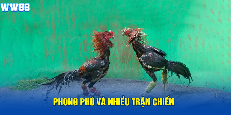 Phong phú và nhiều trận chiến Phong phú và nhiều trận chiến