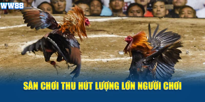 Trang web thu hút lượng lớn người quan tâm Trang web thu hút lượng lớn người quan tâm