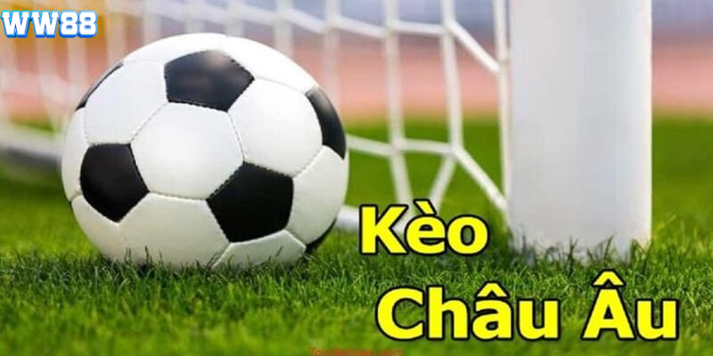 Mẹo bách chiến bách thắng với kèo châu Âu WW88 Mẹo bách chiến bách thắng với kèo châu Âu WW88